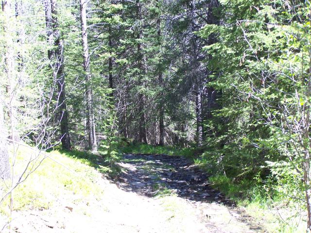 100_1319.JPG
