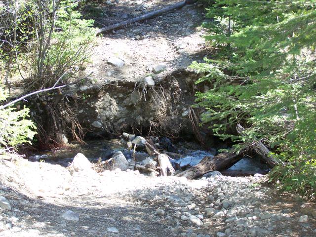 100_1334.JPG
