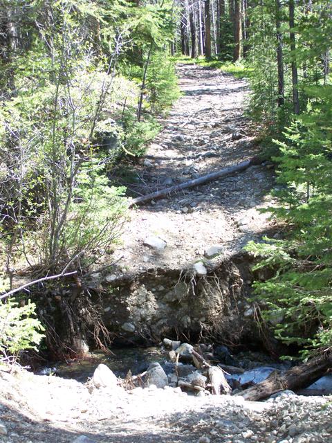 100_1335.JPG