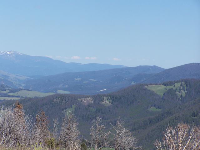 100_1357.JPG