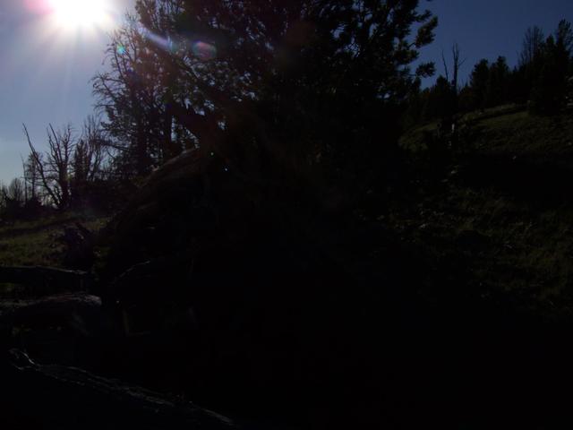 100_1368.JPG