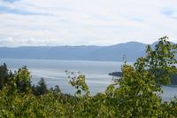 IMG_0301