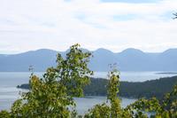 IMG_0302