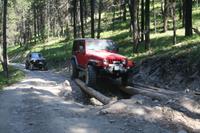 2011 MDR Wild Bill  (30).JPG