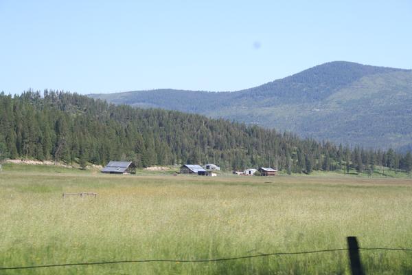 2011 MDR Wild Bill  (9).JPG
