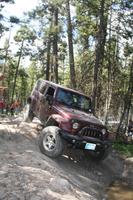 2011 MDR Wild Bill  (99).JPG