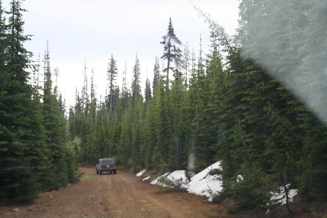 2011 Divide Ride day2 StarvationMeadows 017.JPG