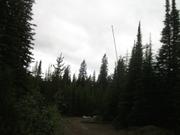 2011 Divide Ride StarvationMeadow (3).JPG