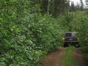 2011 Divide Ride StarvationMeadow (5).JPG