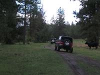 2011 Divide Ride day4 Angus 059.JPG