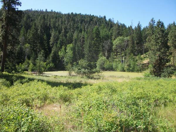 2011 Divide Ride day5 HighVoltage 381.JPG