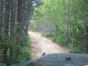 Lava & N/S Quartz Creek