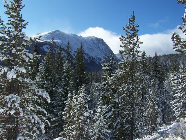 100_2186.JPG