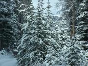 100_2214.JPG