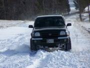 Tony's Taco did great on those new BFGs.