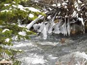 DSCF0250.jpg