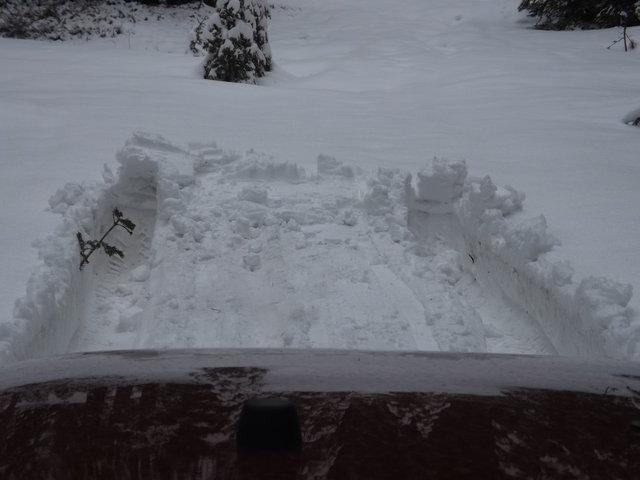 DSCF0253.jpg