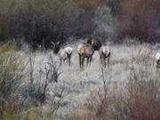 DSCF0279.jpg