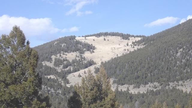 193.JPG