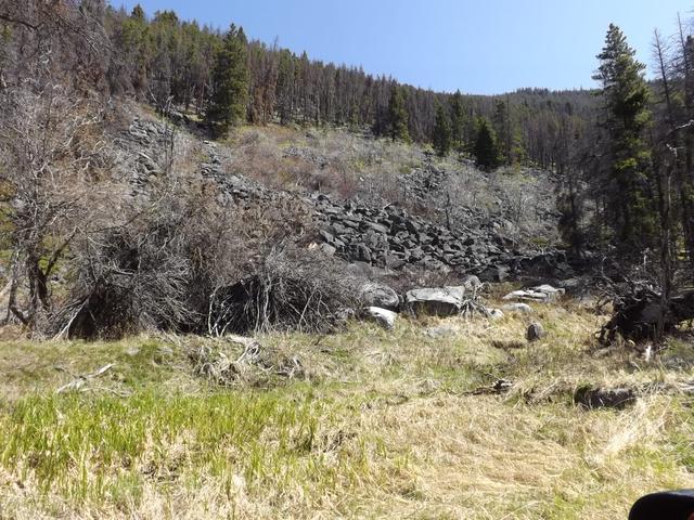 DSCF0330.JPG