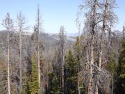 DSCF0385.JPG