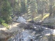 DSCF0398.JPG
