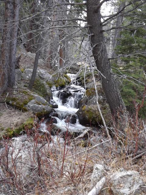 DSCF0311.JPG