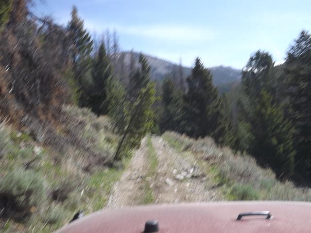 DSCF0433.JPG