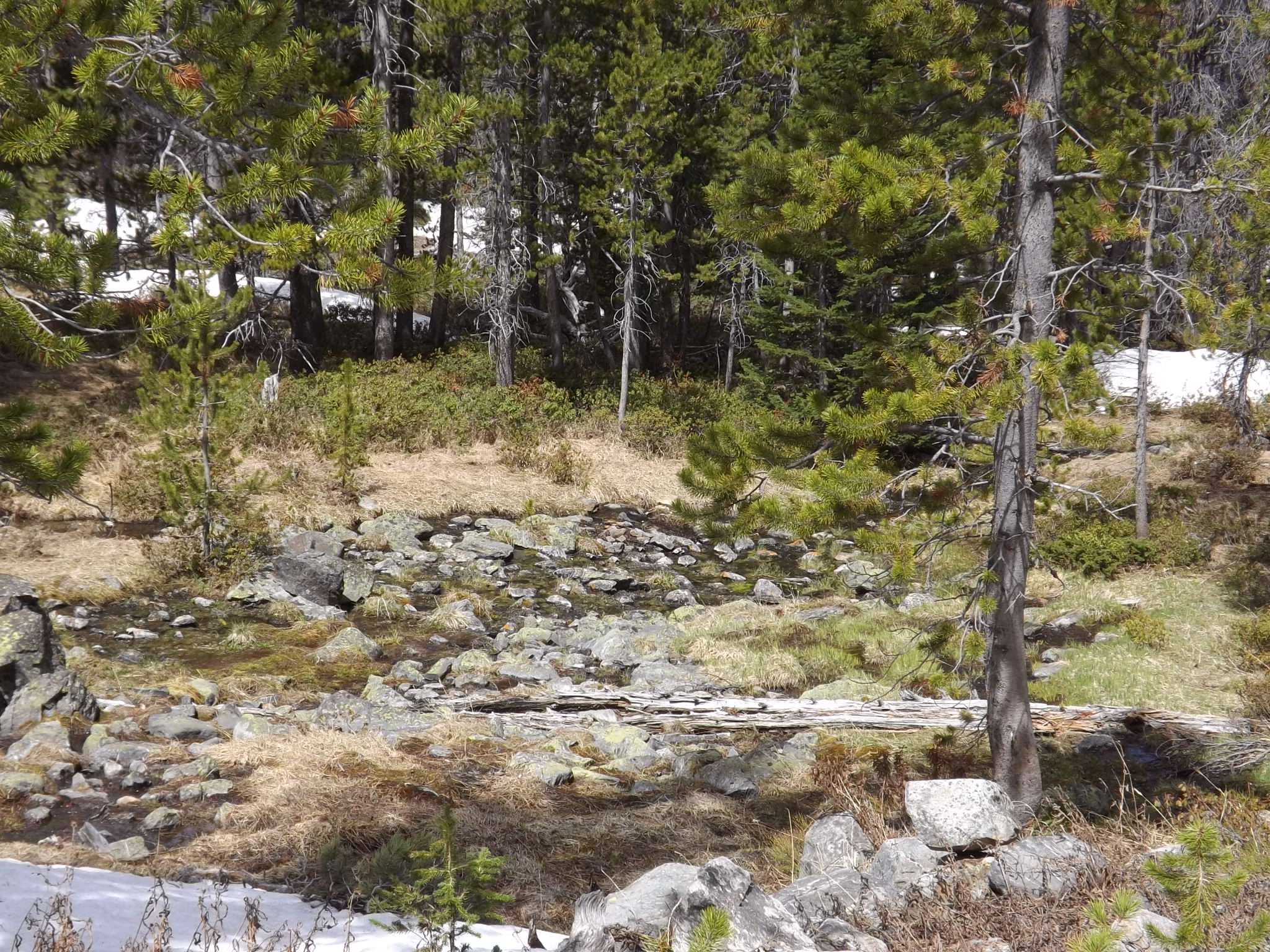 DSCF0453.JPG