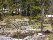 DSCF0453.JPG