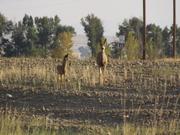 DSCF1192.JPG