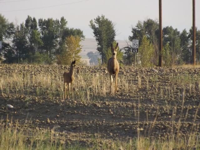 DSCF1192.JPG