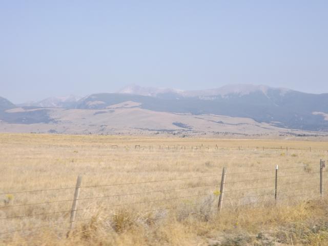 DSCF1194.JPG