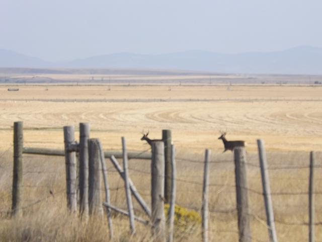 DSCF1202.JPG