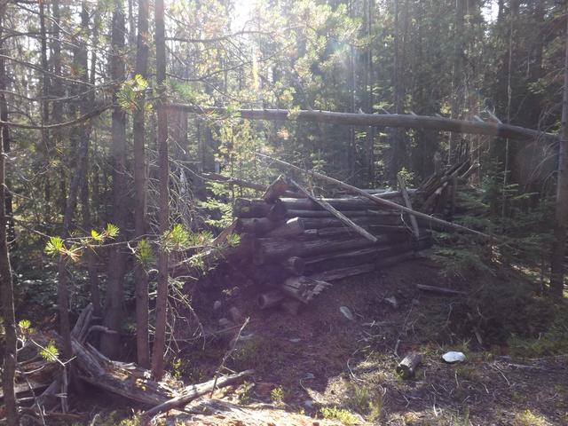 DSCF1218.JPG
