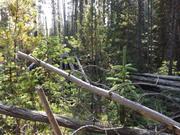 DSCF1220.JPG