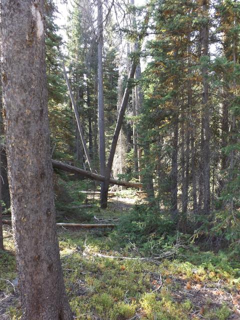 DSCF1225.JPG