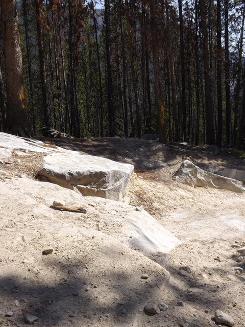 DSCF1240.JPG