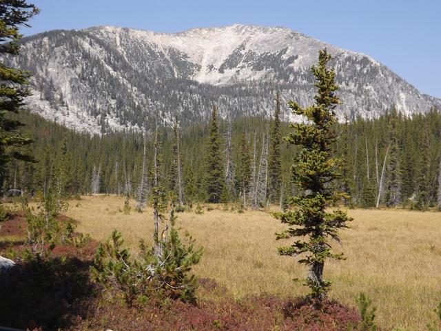 DSCF1258.JPG