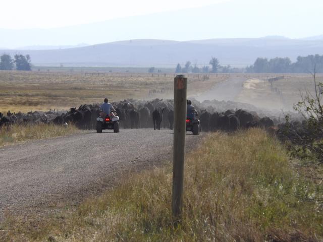 DSCF1296.JPG
