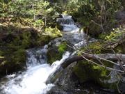 DSCF0514.JPG