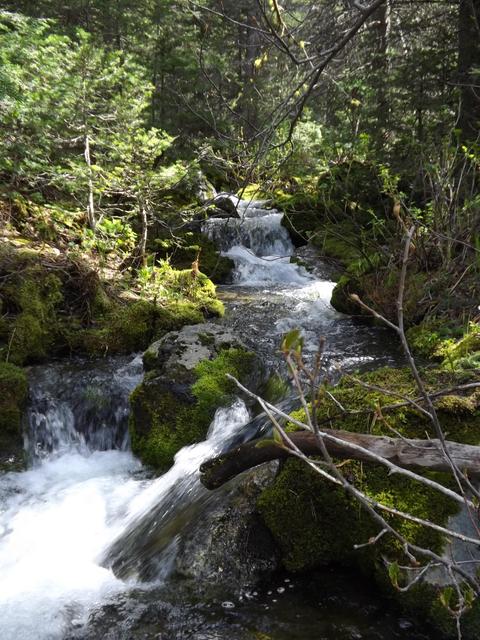 DSCF0515.JPG