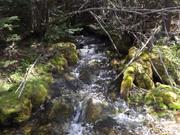 DSCF0516.JPG