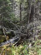 DSCF0518.JPG