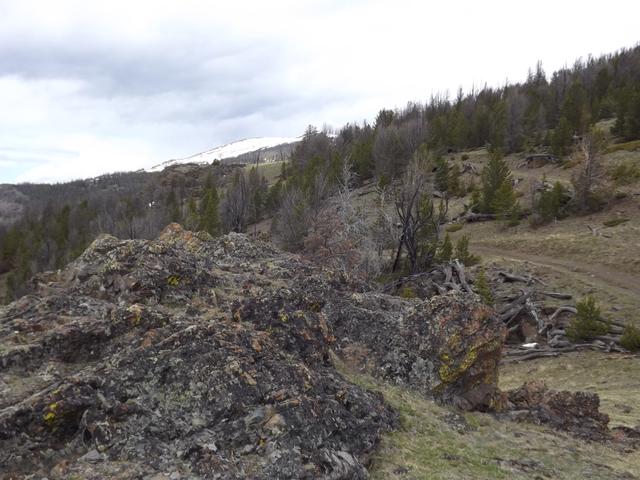 DSCF0530.JPG