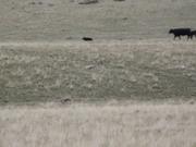 DSCF0545.JPG