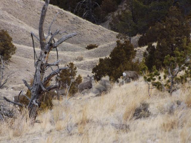 DSCF2279.JPG