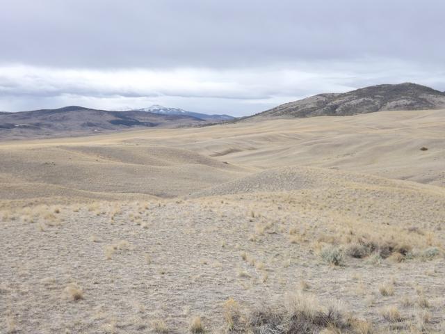 DSCF2280.JPG