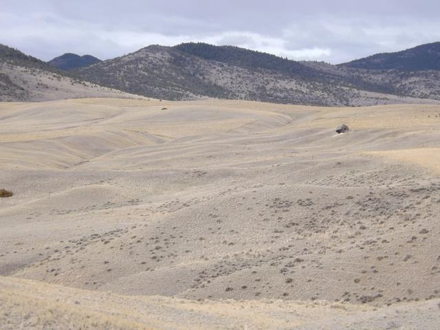 DSCF2281.JPG
