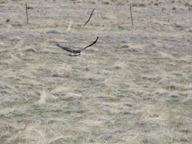 DSCF2287.JPG